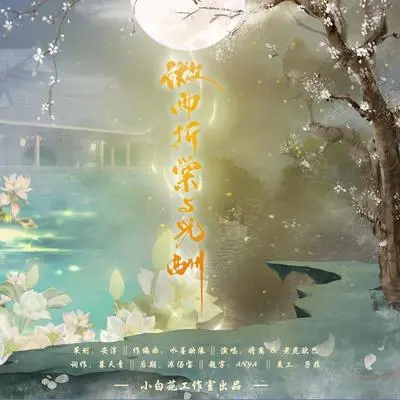 微雨折棠与光酬封面
