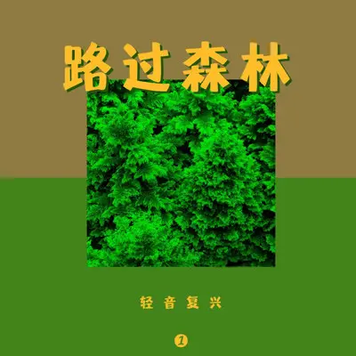 风信子（钢琴曲）封面