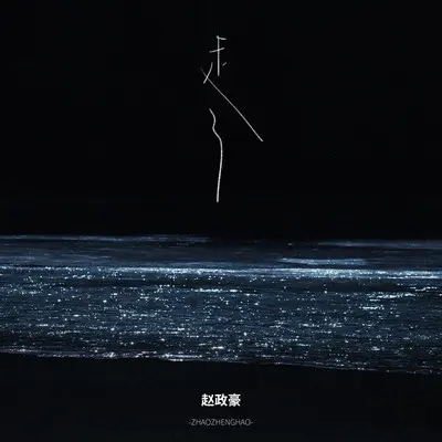 走了封面