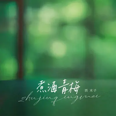 煮酒青梅（伴奏）封面