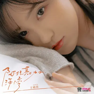 阿拉斯加海湾（伴奏）封面