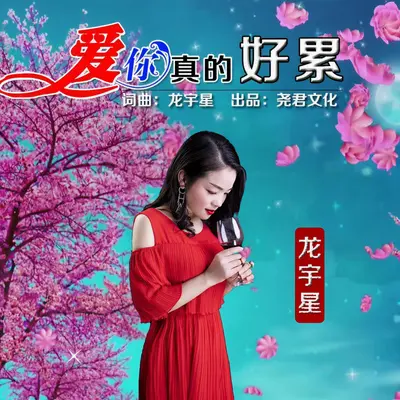 爱你真的好累（伴奏） - 龙宇星封面