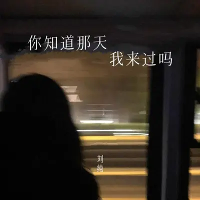 你知道那天我来过吗（伴奏） - 刘纯封面