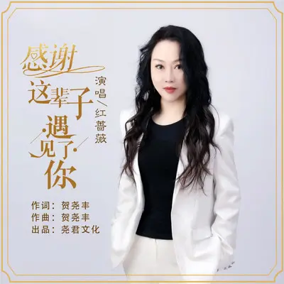 感谢这辈子遇见了你（DJR7）封面