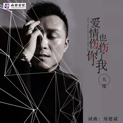 爱情伤了你也伤了我（伴奏） - 大度封面