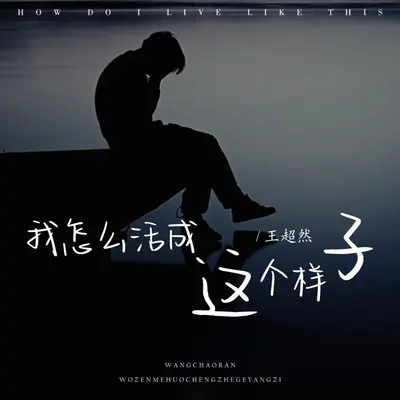 我怎么活成这个样子封面