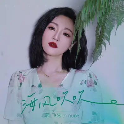 海风吹吹（伴奏）封面