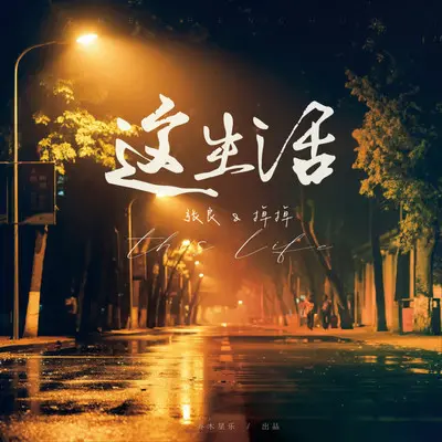 这生活（伴奏）封面