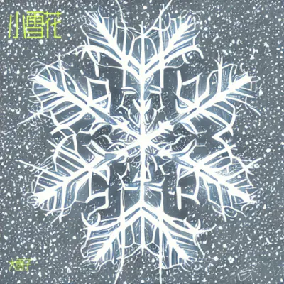 小娃娃过大年 - 大雪子封面