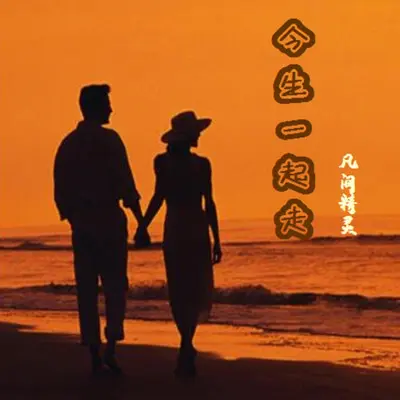 今生一起走（DJ小鹏版）封面