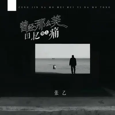 曾经那么美回忆那么痛封面