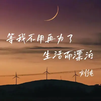 等我不用再为了生活而漂泊（DJ版）封面