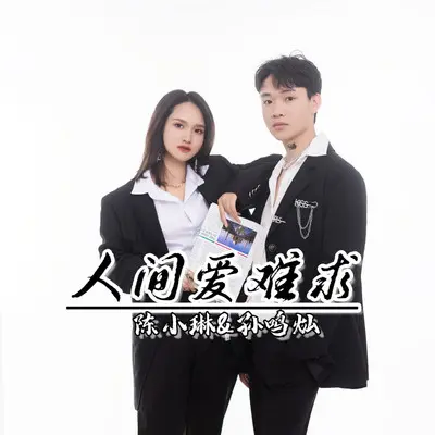 人间爱难求封面