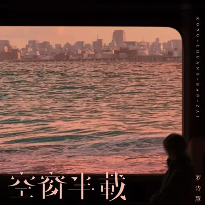 空窗半载（DJ沈念版）（伴奏）封面