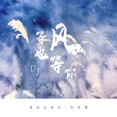 等风也等你(DJ德朋版)封面