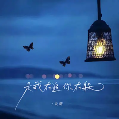 是我在追你在躲封面
