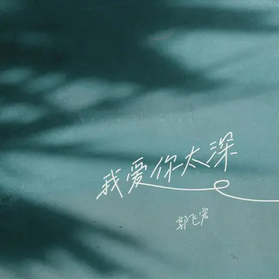 我爱你太深封面
