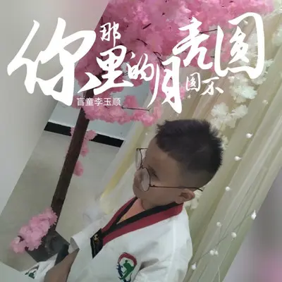 你那里的月亮圆不圆封面