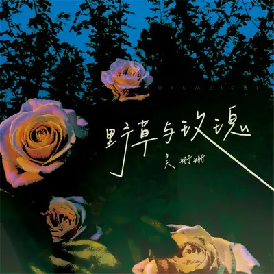 野草与玫瑰（DJ小鑫版）封面