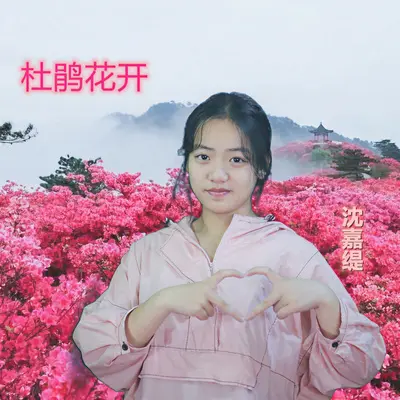 杜鹃花开封面