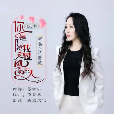 你是陪我走过风雨的人（DJ R7）（伴奏）封面