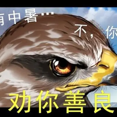 【伴奏】执守无疆封面