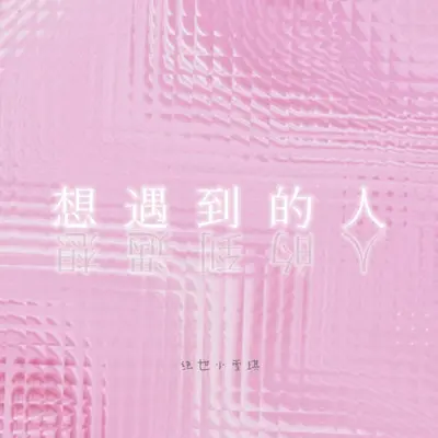 想遇到的人封面