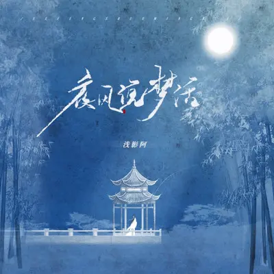 夜风说梦话（伴奏）封面