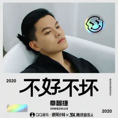 不好不坏 - 章智捷封面