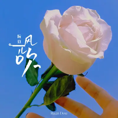 风儿吹封面