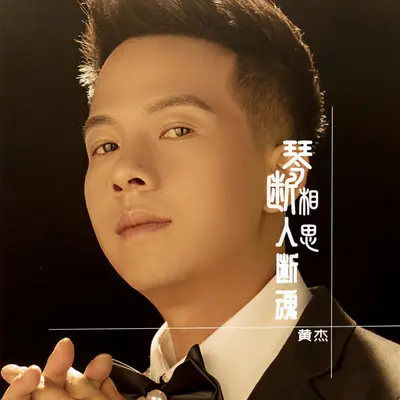 琴断相思人断魂封面