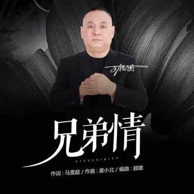 兄弟情封面