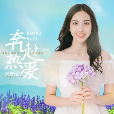 奔赴热爱封面