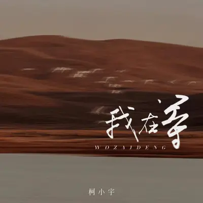 我在等封面