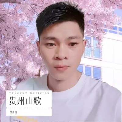 贵州山歌《凄凄感情满身伤》（伴奏）封面