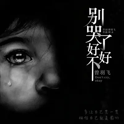 别哭了好不好（伴奏）封面