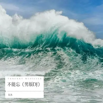 不能忘（男版DJ）封面