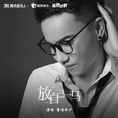 放自已一马（DJ名龙版）（伴奏）封面