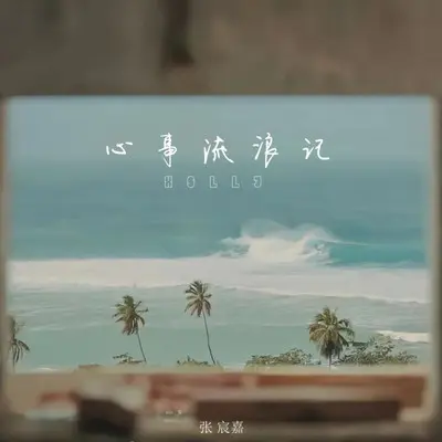 心事流浪记封面