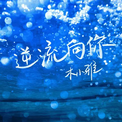 逆流向你（伴奏） - 木小雅封面