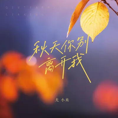 秋天你别离开我（DJ小鑫版）封面