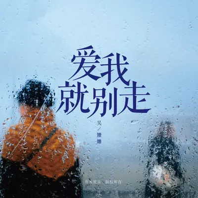 爱我就别走（DJ小鑫版） - 吴姗姗封面