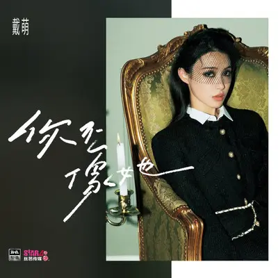 你不像她（伴奏）封面