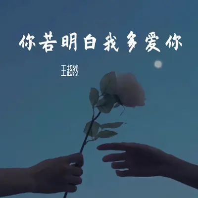 你若明白我多爱你 - 王超然封面