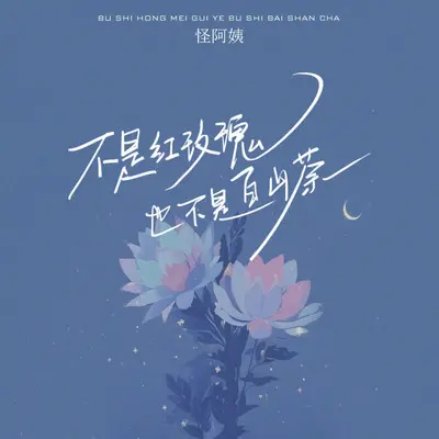不是红玫瑰 也不是白山茶封面