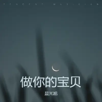青海湖的牧歌封面