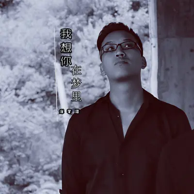 我想你在梦里（伴奏） - 范越封面