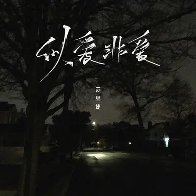 似爱非爱 (DJAh版) - 苏星婕封面