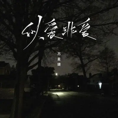 似爱非爱 (伴奏)封面