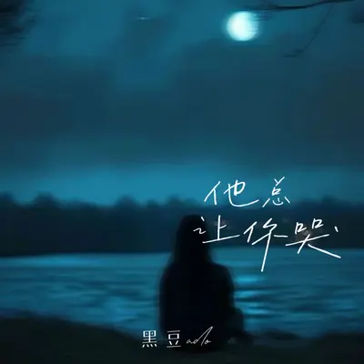 他总让你哭封面